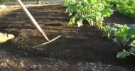Back to Eden Film Official Teaser – Gardening With God