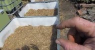 Wicking beds.. How to make IBC self watering garden beds.. ..