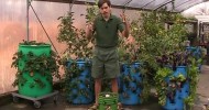 3-D Vertical Barrel Gardening – A Striking Use For Used Barrels