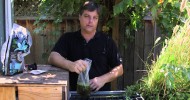 How to Grow Duckweed in Aquaponics : Hydroponic Gardening