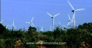 Windmills – GenX Power generation in Kerala