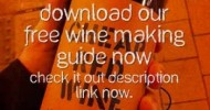 [How To Make Wine] – Easy Steps | At Home