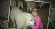 Karlen Meets Dairy Goats!