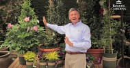 Sneak Peak | Smart & Easy Gardening Tips with Nicholas Staddon