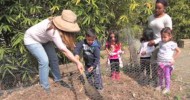 Westside Children’s Center Organic Garden Overiew