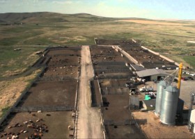 Where McDonald’s Canada Gets Our Hamburger Patties From.