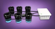 Hydroponic Bubble Flow Buckets for 6 Plants by Dealzer.com