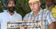 Organic Farming Practices to Enhancing Honey Production-Dominica.wmv
