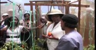 Organic Farming