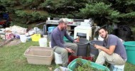 The organic garden at The University of Guelph