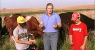 Mom & kids help work, feed cattle on a Nebraska family farm