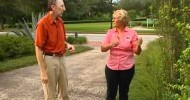 Central Florida Gardening – Must Have Plants