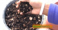 DIY Worm bin, harvesting worm castings and fertilizing your garden