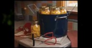 Guide To Home Canning Secrets Revealed