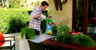 HGTV and Miracle-Gro Share Small Space Gardening Ideas