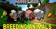 Minecraft 1.7.10 – How to Breed Animals in Minecraft -Cows, Sheep, Chicken and Pigs – Voice Tutorial