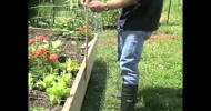Raised Bed Or Litter Box | Organic Gardening