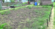Allotment Gardening in North Essex – My New Allotment Plot