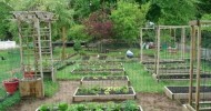 Backyard Organic Gardening Ideas – How My Dad Transformed My Mom’s Garden (Part 1)
