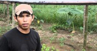 Renewable Organic Farming -Finca Loroco
