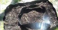 8 Dollar DIY Strawberry Bed using Compost & Worm casting