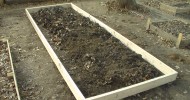 Easy Affordable Raised Beds