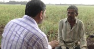 Garlic Crop Saved by Plantonics | Organic Fertilizer | Gujarat Bio Organics | India