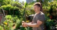 How to Create  a Beautiful Edible Landscape – Tim Robson On Gardening Australia