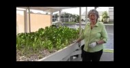 Portable Farms® Solar Aquaponics System