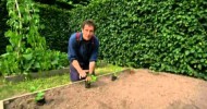 The A To Z Of Gardening Episode 19