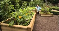 Top Tips to making Superior Wooden Raised beds from Harrod Horticultural