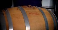Wino Adventures – How to make Homemade Wine