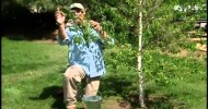 Homemade Tree Fertilizer Recipe
