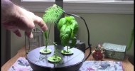 Hydroponics, Onions, Time Lapse of Aerogarden.