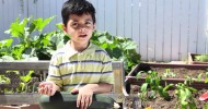 Preschool Nutrition & Gardening – Teach Kid’s Healthy Eating Habits – ChooseHealthLA.com