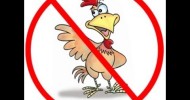 The Truth About Michigan Ban on Raising Chickens