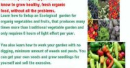 how to grow parsnips in the south