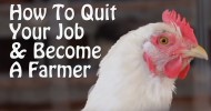 Quit Your Job and Become a Farmer. 7 Small Farm Ideas, from Organic Farming to Chickens & Goats.