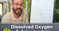 Aquaponics & Dissolved Oxygen: The Basics