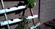 Arizona Backyard Gardening and Hydroponics