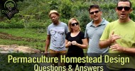 Permaculture Homestead Design Questions and Answers