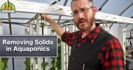 Removing Solids in Aquaponics