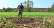 Vegetable Gardening : Growing Organic Vegetables in a Raised Bed Garden