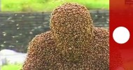 Covered in bees: China man spends a record hour in living bee coat