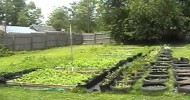 Eden Organic Garden.wmv