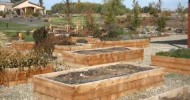 Examples Of Container Gardening, Raised Bed Garden, Vertical Tower Garden At The Great Park