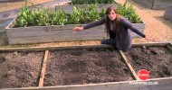Gardening: How To Grow Your Own (Planting Raised Beds)