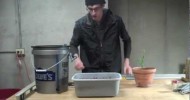 How to Transplant From Soil to Hydroponics