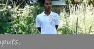 Sinait Organic Farming of the Purok Gimong.wmv