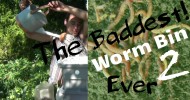 The Sequel to the Baddest Worm Bin Ever